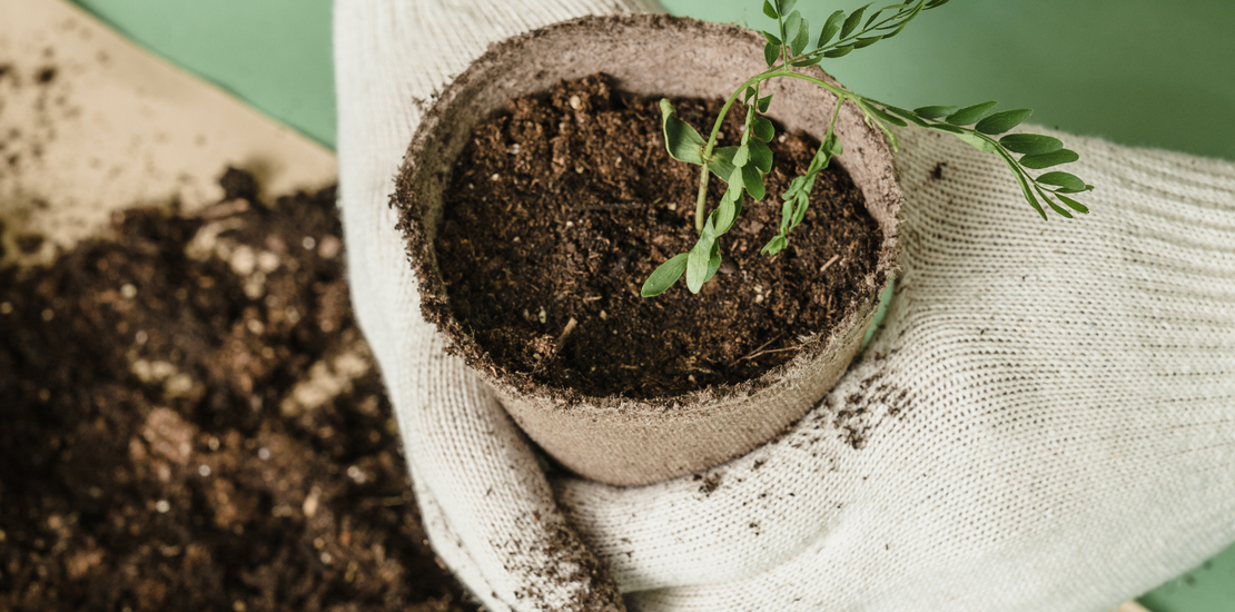 Altamas Relief and Development Foundation (ARDF)