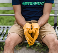 Altamas Relief and Development Foundation (ARDF)